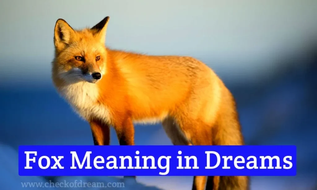 Fox Meaning in Dreams