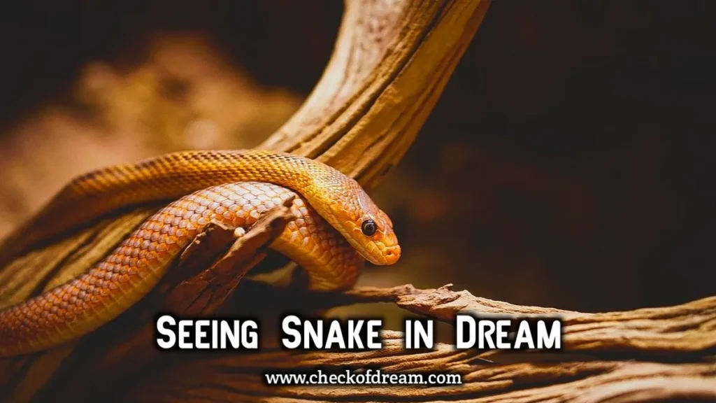 What Does It Mean To See a Snake in Dream