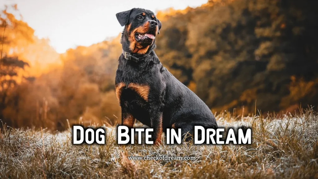 Dog Bite in Dream