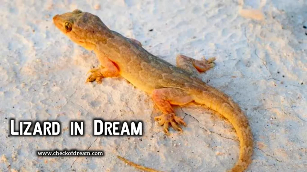Meaning Of Seeing Lizard in Dream